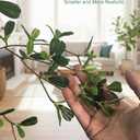 Shady Lady Faux Tree 7ft for Home Décor Black Olive Tree 84inches Realistic Fake Potted Plants with Moss Indoor Bucida Buceras Artificial Tall Trees with Natural Wood Trunk Housewarming Outdoor