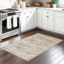 Soalmost 2x3 Washable Rugs for Kitchen, Floor, Entryway, Powder Room Small Area Rug Non-Slip Vintage Low Pile Throw Door Mat Brown