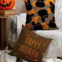 Halloween Pillow Covers 18x18 Set of 2 Throw Pillow Cases Soft Cushion Case Pillowcase for Chair Sofa Bedroom Living Room Home Decor, Cat