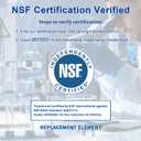 3 Pack XWF (Not XWFE, NO Chips) Compatible with GE XWF, GBE21, GDE21, GDE25, GFE24, Refrigerator Water Filter Replacement, NSF Certified, 6 Month / 300 Gallon