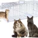 32" Live Animal Traps,Humane Animal Trap for Stray Cats up to 16.5 pounds, Raccoons, Squirrel, Skunk, Mole, Groundhog, Armadillo, Rabbit,Steel Foldable with Pedal Triggers