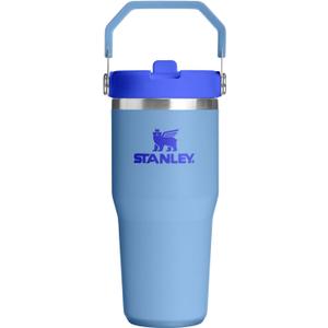 STANLEY IceFlow 2.0 Flip Straw Tumbler with Handle 14 oz | Twist On Lid and Flip Up Straw | Leakproof Water Bottle | Insulated Stainless Steel | BPA-Free | Blue Sky
