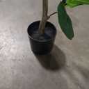 5FT Artificial Fiddle Leaf Fig Tree Faux Plants Indoor Faux Plant Artificial Trees Indoor,Large Floor Plants,Real Touch Rubber Tree for Home Decor