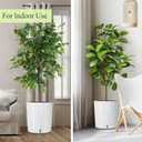 SAROSORA Large Round Self Watering Planter Pot 12.5'' for Home Garden Patio Tall Tree