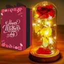 Norcalway Premium Rose in Glass Dome with 6hr Timer - Birthday Gifts for Women, Mom from Daughter, Son, Kids - Beauty and The Beast Rose in a Glass Dome for Decorations