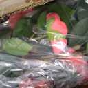 3ft 2-Pack Artificial Camellia Trees