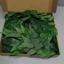 HUAHUA 20pcs Artificial Italian Ruscus Greenery Stems -Faux Green Leaf Garland Silk Greenery Leaves for DIY Wedding Arch Bouquet Filler Table Centerpieces Home Indoor Decor