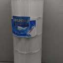 Cryspool 08058 Filter Compatible with PWWPC125B, PXC-125, Posi-Clear PXC-150, C-8413, FC-2575, 125 Sq. Ft Pool Filter Cartridge, 1 Pack