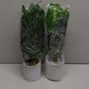 Der Rose 2 Pack Fake Plants Artificial Potted Faux Plants Indoor for Office Desk Home Farmhouse Decor