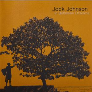 In Between Dreams [Vinyl] by Jack Johnson