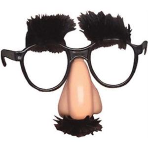 Rhode Island Novelty Child's Disguise Glasses, One Pair