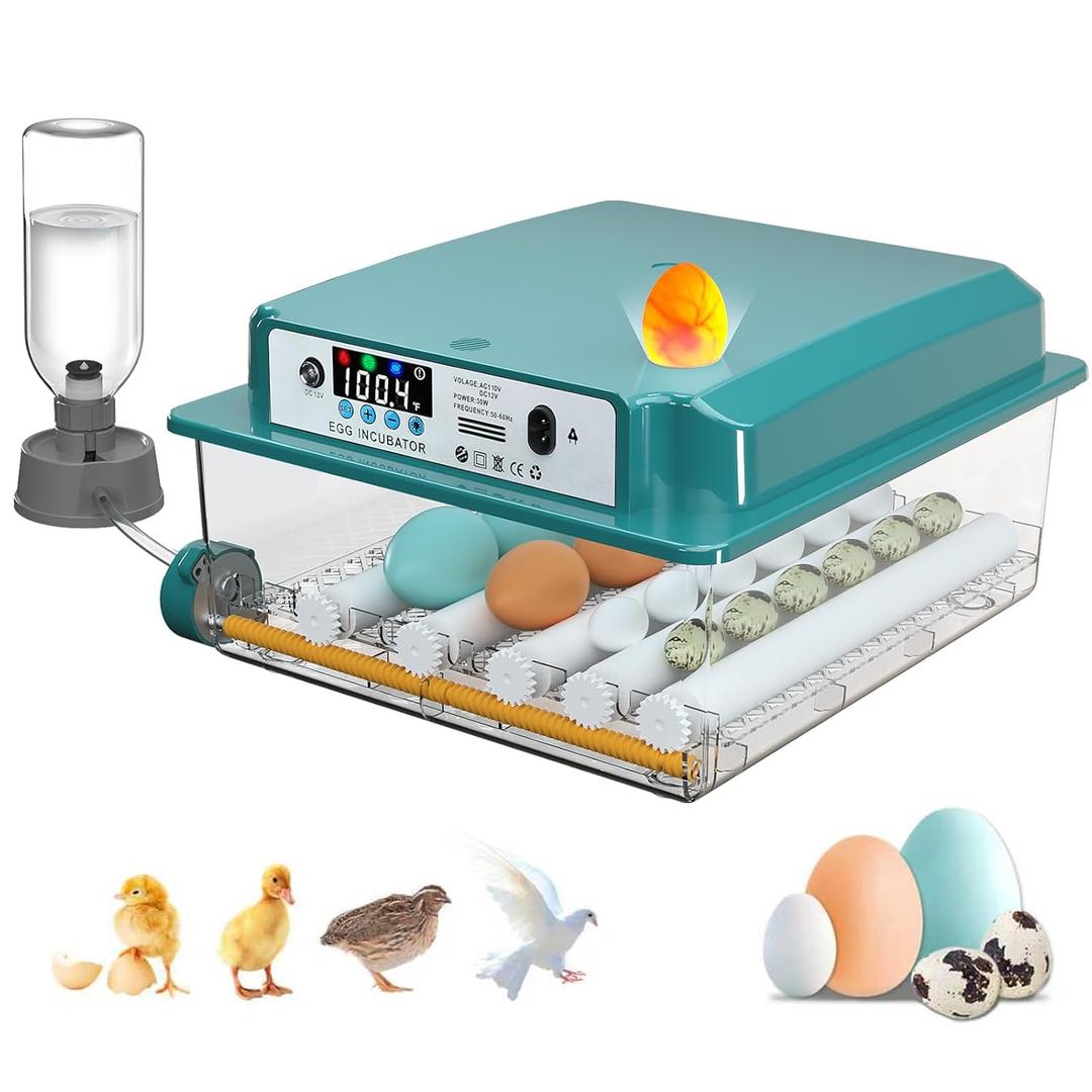 Incubators for Hatching 16 Eggs, Egg Incubator with Automatic Egg Turning and Humidity Fill, Temperature Control, Incubator with Adjustable Rollers for Chickens, Ducks, Geese, and Quails