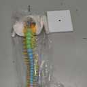 Mini Spine Anatomy Model - 15.5 Flexible Miniature Human Color Spine Model with All Nerves for Medical Learning - Vertebra Spine Model for Instruction Teaching, Study and Display