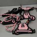 IVY&LANE No Pull Dog Harness for Small Dogs, Dog Vest Harness with Leash, Safety Belt and Storage Strap, Fully Adjustable, 360 Reflective Strip, Soft Handle (Pink, S)