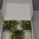 Der Rose 3 Pack Mini Potted Fake Plants Artificial Plastic Eucalyptus Plants Topiaries for Home Office Desk Farmhouse Shelf Room Bathroom Decor(Sage Green)