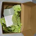 mizii 4Pcs Green Artificial Hydrangea Flowers Large Fake Silk Hydrangea Flower with Leaves Stems Realistic Faux Hydrangeas Decorations for Wedding Table Centerpieces Vase Home Decor (Light Green)