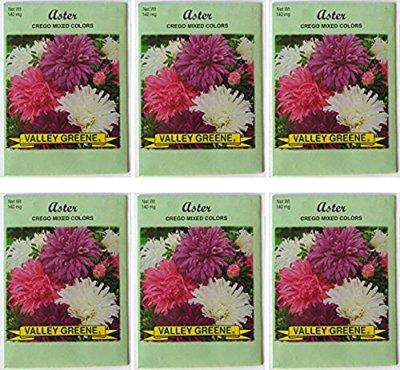 Valley Greene Crego Mixed Colors Aster Flower Seeds 140 mg