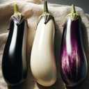 8 x 30+ Seeds Eggplant Long Mix - Vegetable Multicolor