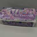 Clorox Scentiva Disinfecting Wet Mopping Cloths - Lavender & Jasmine - 24ct: Compatible With Swiffer Mops, Bleach-Free, Ideal for Linoleum