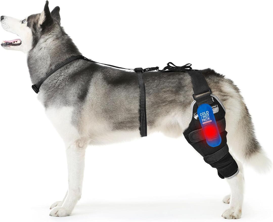 Dog Knee Braces for Back Leg, Adjustable ACL Support for Dogs with Luxating Patella, Includes Hot & Cold Gel Packs for Joint Pain Relief, Left Leg, Size L