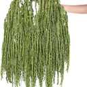 Suncalla 12 Pcs Bright Green Spring Natural Dried Amaranthus Hanging Flowers Amaranthus Artificial Flowers for Wedding Arch Bouquet Floral Garland Wall Home Decoration (23 Inch)