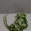 HyeFlora 5PCS Artificial Eucalyptus Leaves Stem Plants for Spring Decor, 32.7 inch Fake Leaves Greenery Branches Green Shrubs Silk Faux Foliage DIY Stems for Festival Home Kitchen Farmhouse(Green)