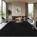 Soft Rugs for Living Room 5x7 Black, Minimalist Area Rug for Bedroom Nursery Dining Table Dorm, Throw Rugs for Men Boys Girls Kids Room Indoor Floor Carpets