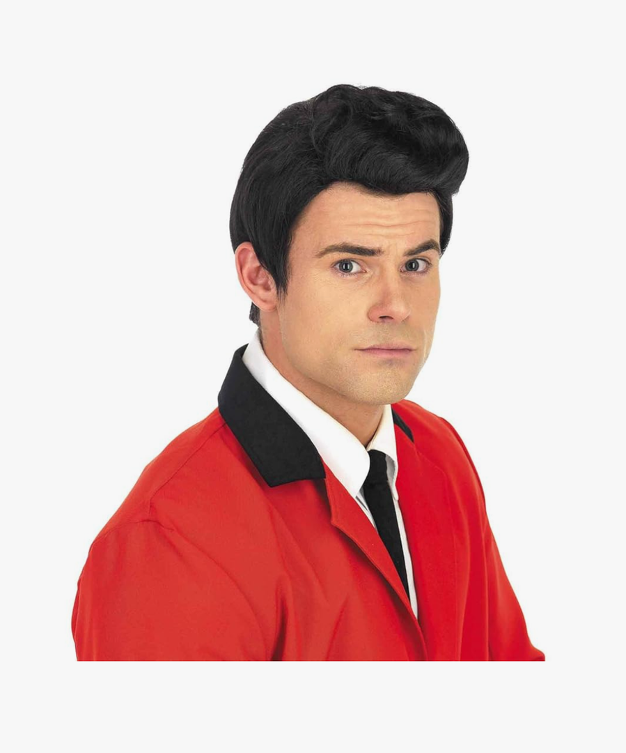 fun shack 50's Men's Black Wig with Sideburns, 1950s Costume Wig for Men, Retro Black Wig for Boys, One Size