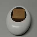 Folmywy Ikebana Flower Frog Vase Kit Japanese Flower Arrangement with 1.57 Inch Kenzan Ceramic White Pebble Shaped Bowl for Ikebana Teaching Aids Art Supplies Home Decor (5.51x4.13in)