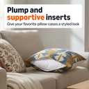 Amazon Basics Throw Pillow Insert, Down Alternative Fiberfill, Hypoallergenic, Machine Washable, 20 Inch, 2-Pack, for Sofa Bed Couch
