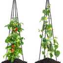 FOLLOOK Cucumber Trellis, 67" Tall Obelisk Garden Trellis for Climbing Plants Outdoor Plastic-Coated Metal Support for Flower Vine Vegetable Tomato Cage Cucumebr Trellis Raised Bed, Black, 2 Pack