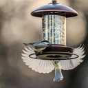 Metal Roof Bird Feeder - Chew Proof for Outdoor Hanging Wild Bird Seeds. Bronze (1.7lb:Bronze)
