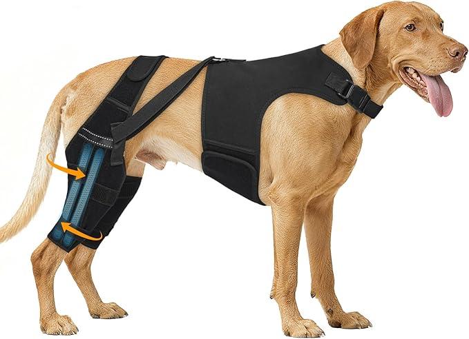 Marnonsis Dog Knee Brace for Torn Acl Hind Leg, 4 Stabilizers for Back Leg, Adjustable Hip Support to Reduces Pain, Ligament Injuries & Luxating Patella for Small Medium Large Dogs, 2XL