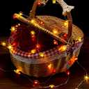 BlcTec Fall Decorations for Home 12.8FT 40 LED Maple Leaves Fall String Lights, Battery Operated Thanksgiving Fairy Lights with Timer for Indoor Outdoor Thanksgiving Autumn Harvest Fall Decor