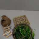 5 PCS Coconut Hut for Gecko, Lizard Coco Den with Ladder and Reptile Hammock Bearded Dragon Tank Accessories Climbing Hanging Plants Jungle Vine Flexible Reptile Leaves Decor