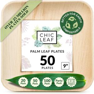 Chic Leaf Palm Leaf Disposable Bamboo Plates - Square Party Plates for Weddings, Parties, Event Appetizers - Biodegradable & Compostable - Party Supplies (9", 50 Pack)