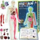 YOFUN Human Body Skeleton Model Kits for Kids,Interactive Anatomy Science Kit  Removable Muscles, Organs,Bones,STEM Educational Toys for Boys and Girls Aged 6+