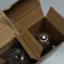 12V Edison Bulb Low Voltage Warm White 2700K E26 Base, DC/AC 12V 24V 36V LED Light Bulbs 40W Equivalent Smoky Grey Glass for RV Camper, 2 Pack