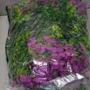 Ouddy Decor 24 Bundles Artificial Flowers for Outdoors Fake Silk Flowers UV Resistant Faux Plastic Plants for Spring Summer Garden Porch Window Box Table Vase Home Indoor Outdoor Decoration, Purple