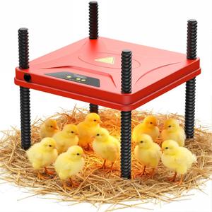 Chick Brooder Heating Plate for Winter, Chick Heating Plate with Thermal Protector, Adjustable Temp & Height, Energy Efficient Heater, 10"x10" for 10-12 Chicks