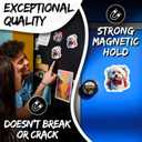 3 x Bichon Frise Magnet 4 Inch 2-Pack Dog  Strong Vinyl Decorative Animal Magnets for Fridge Locker Kitchen Office  Cute Fun Aesthetic Cool Durable & Long-Lasting Souvenir ID44999