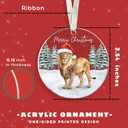 Lion Ornament - Lion Ornaments for Christmas Tree, Wildlife Christmas Ornaments - Woodland Animals Gifts for Women, Men - Acrylic Hanging Ornament 2025