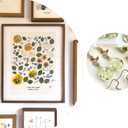 2 x Real Pressed Flowers, Natural Dried Pressed Flowers for Resin Mold, Paper Making, Art Frame Making, Soap, Candle, DIY Craft Supplies Beginner Kits (Fq-cp05)