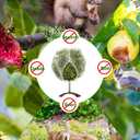 wohohoho 2Pcs 8 x 8ft Large Fruits Tree Netting, Insect Bird Barrier Tree Net with Drawstring and Zipper, Plant Cover Fruit Tree Protection to Prevent Tomato Blueberry Vegetable from Squirrels Birds