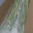 Jexine 4 Pcs 4 ft Tall Artificial Grass Plant Potted Artificial Greenery Floor Plants Faux Pampas Grass Tall in Pot for Housewarming Gift House Garden Bathroom Lobby Outdoor Decoration