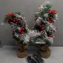 2 Pack 24 Inch /2FT Tabletop Christmas Tree, Snowy Flocked Artificial Small Christmas Trees Timer 30 Warm White Lights Battery Operated Pine Cones Red Berried, Mini Xmas Tree for Indoor Home Decor
