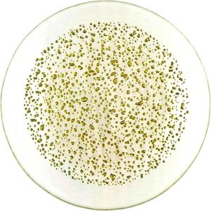 Red Pomegranate ISLA 7" Canape Plate Clear/Gold