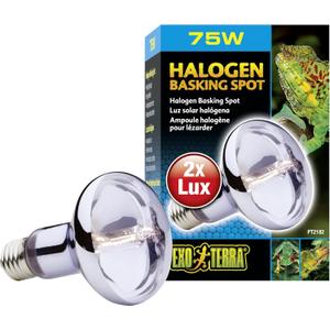 Exo Terra Sun Glo Halogen Basking Spot Lamp  75W Reptile Light Bulb, Broad Spectrum Daylight, Enhances Coloration, Promotes Health, PT2182