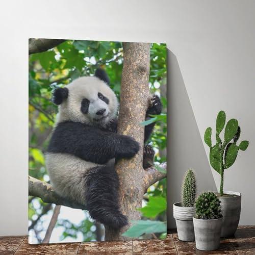 Cute Panda Climbing Tree Room Aesthetics Posters Canvas Posters Bedroom Decoration Sports Office Decoration Gifts Wall Art Decoration Printing Posters 12x12 inch