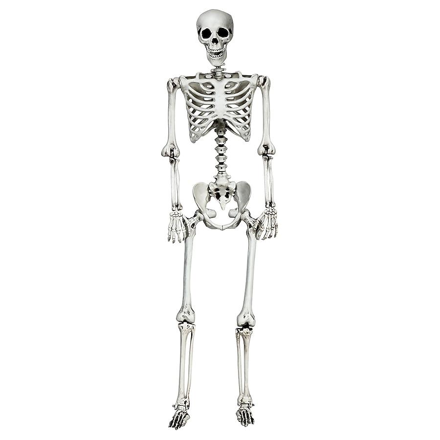 65-in White Skeleton Ornament for Indoor/Outdoor Halloween ...